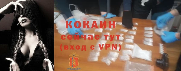 крисы Медвежьегорск
