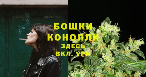spice Гусиноозёрск