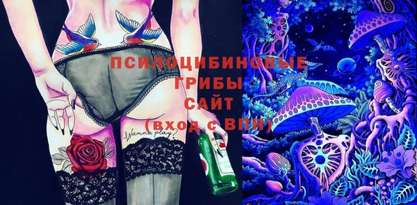 прущие грибы Михайловка