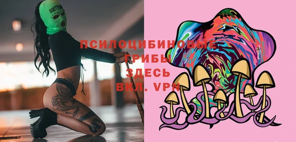 эйфоретик Магас